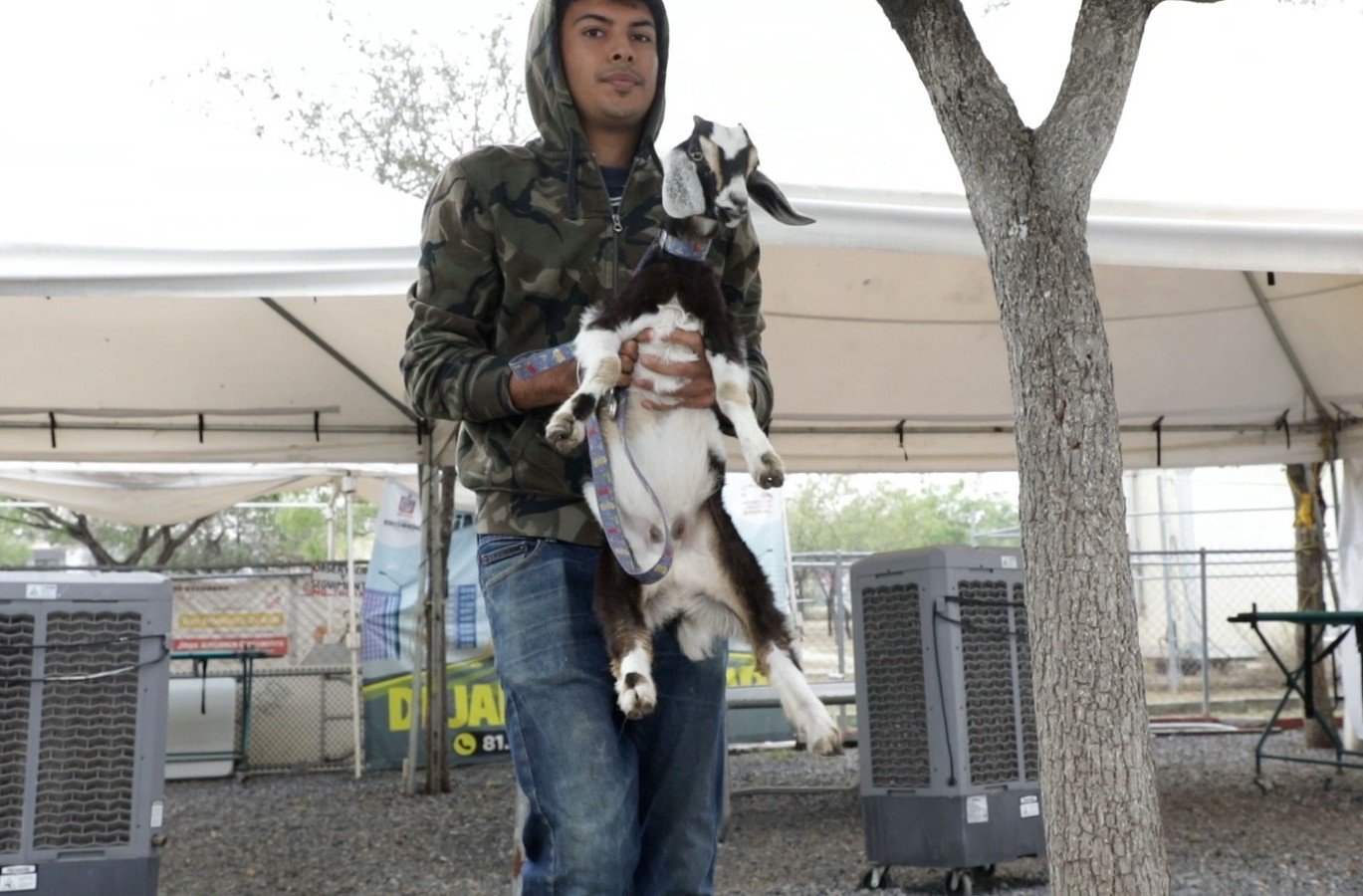 Rescatan en Escobedo a animalitos que sufrian de maltrato